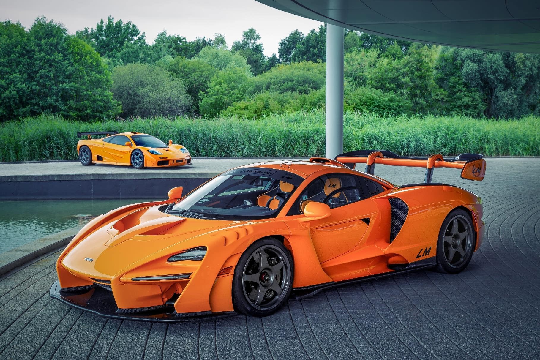 Senna lm